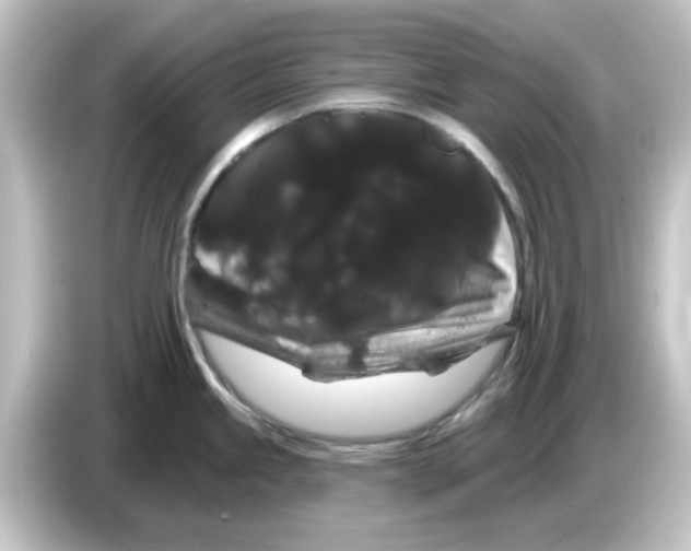X0000084581245200703161735