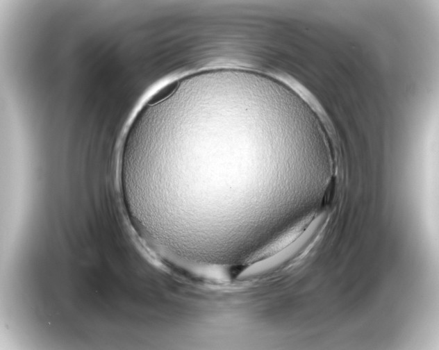 X0000084581246200703161735