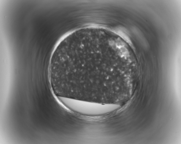 X0000084581247200703161735