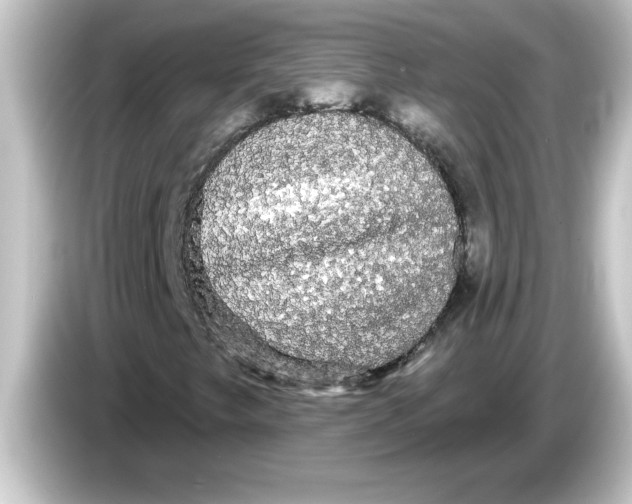 X0000084581249200703161734