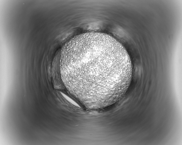 X0000084581250200703161734
