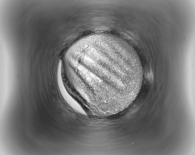 X0000084581252200703161734