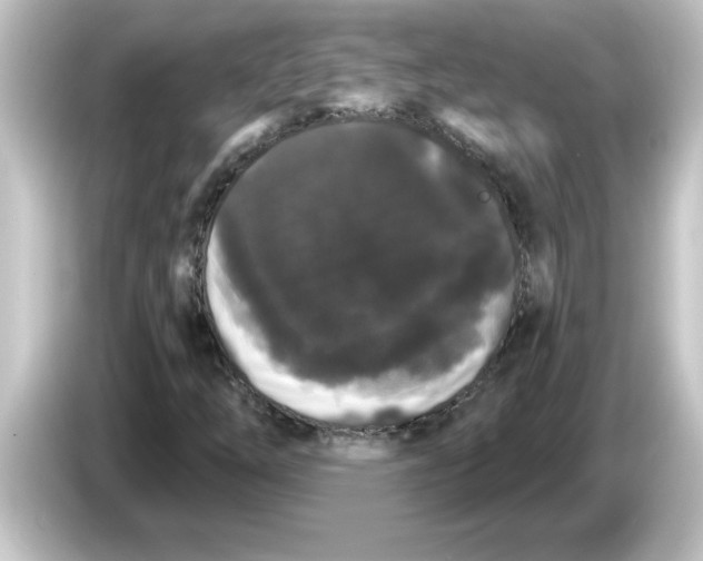 X0000084581254200703161734