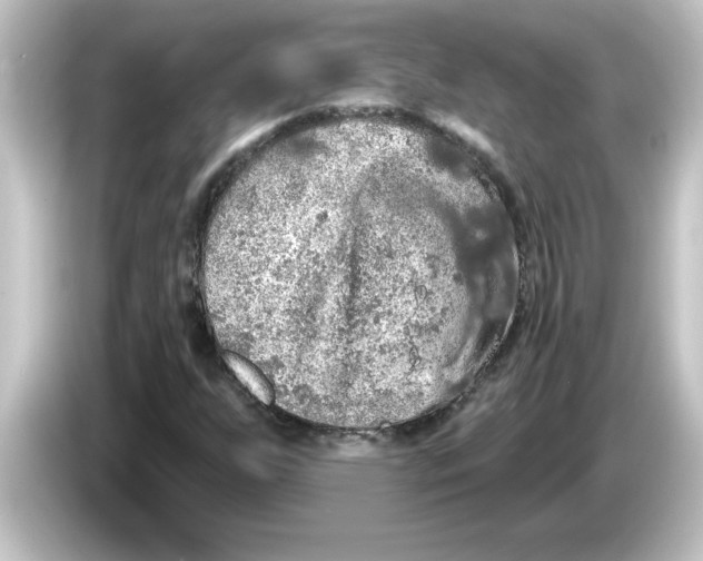 X0000084581255200703161734