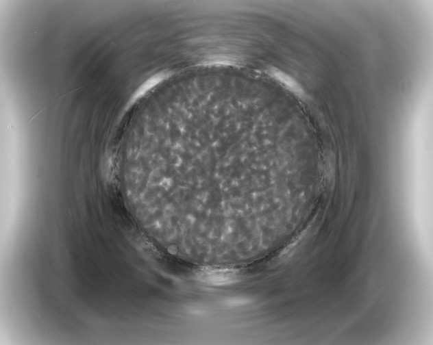 X0000084581258200703161734