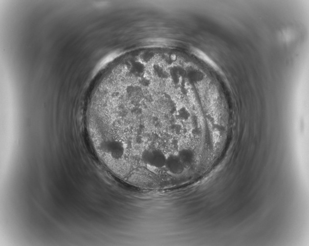 X0000084581259200703161734