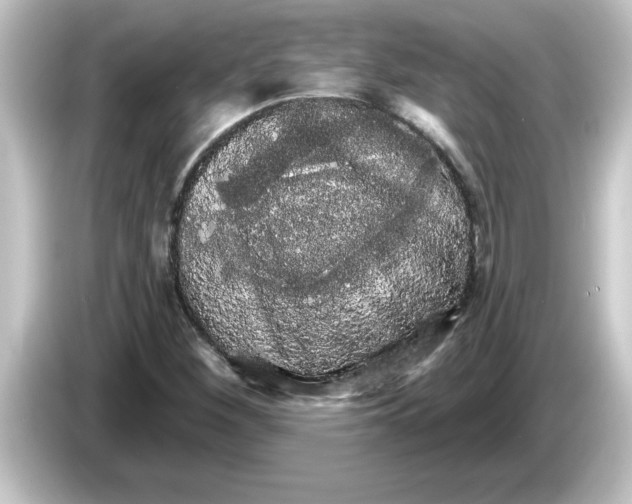 X0000084581260200703161734