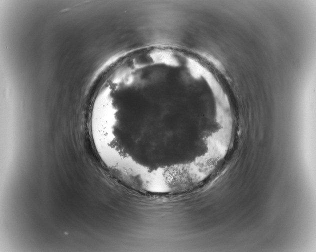 X0000084581263200703161734
