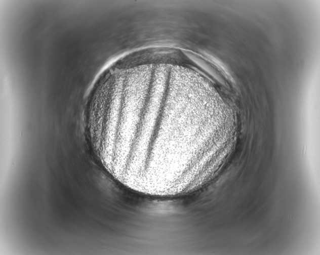 X0000084581264200703161734