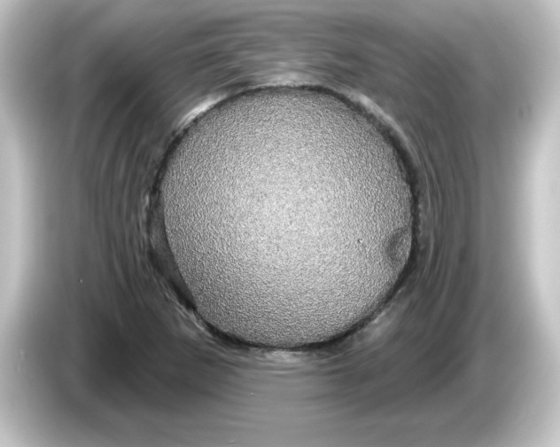 X0000084581265200703161734