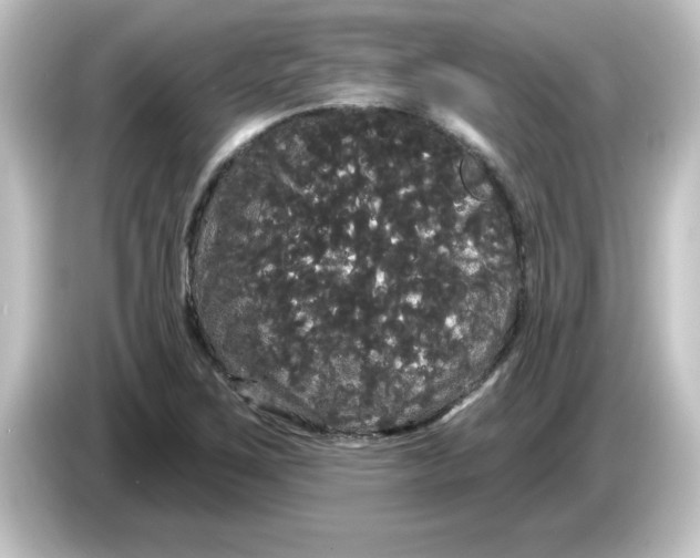 X0000084581267200703161734