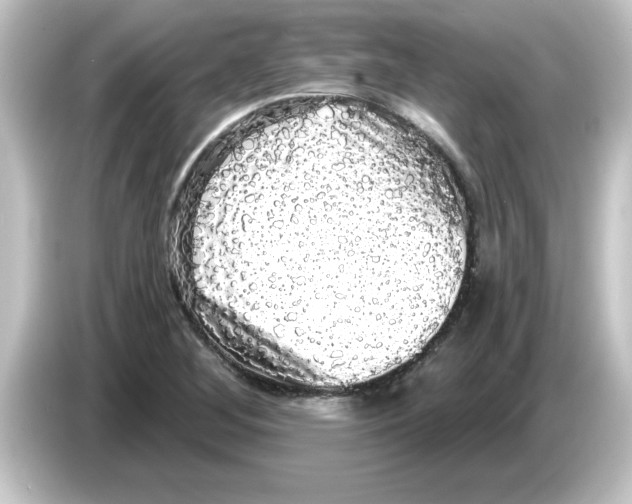 X0000084581268200703161734