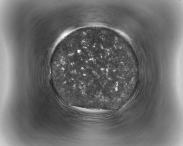 X0000084581271200703161734