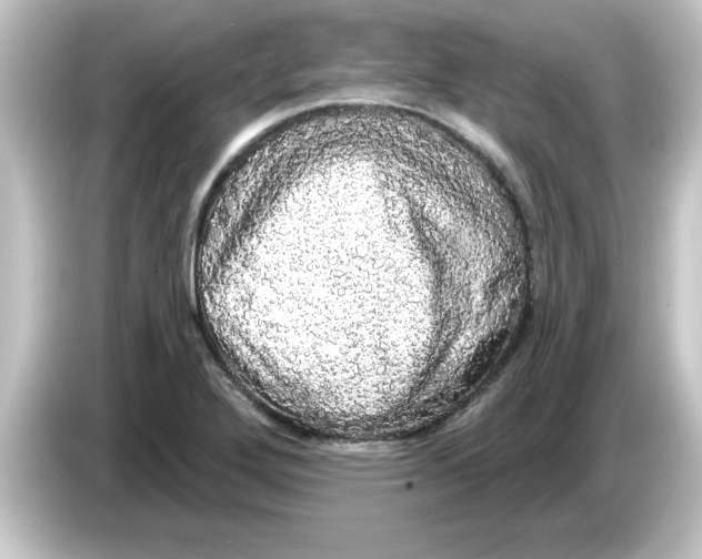 X0000084581272200703161734