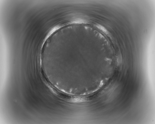 X0000084581274200703161734