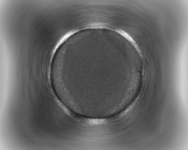X0000084581277200703161734