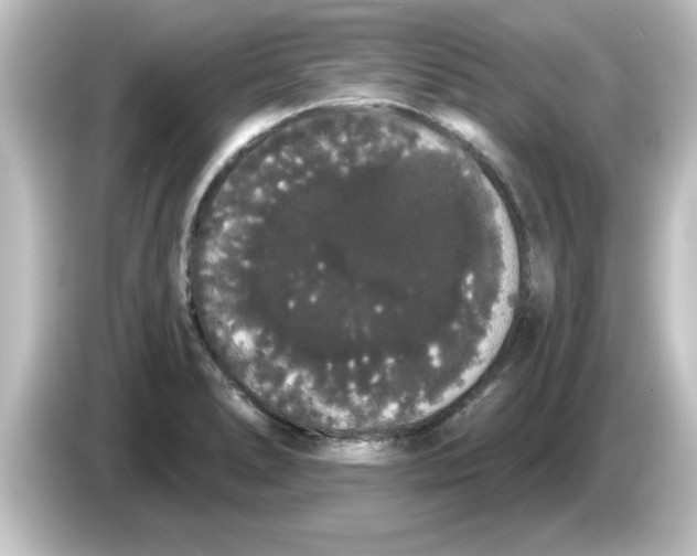 X0000084581278200703161734