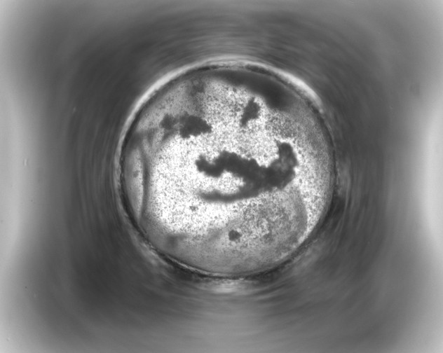 X0000084581279200703161734