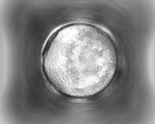 X0000084581280200703161734
