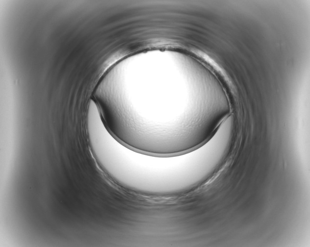 X0000084581281200703161734