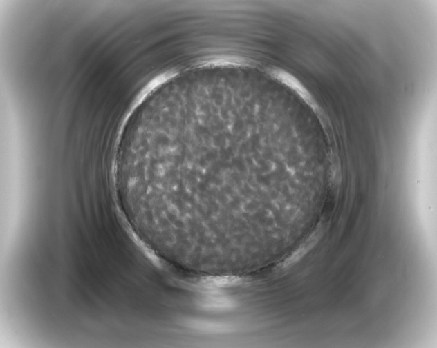 X0000084581282200703161734