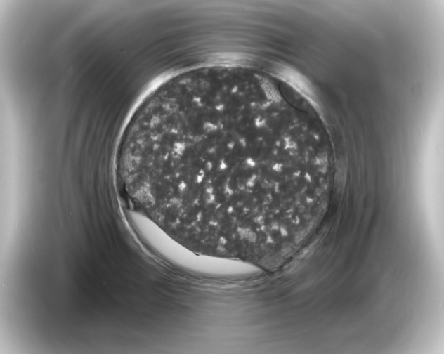X0000084581283200703161734