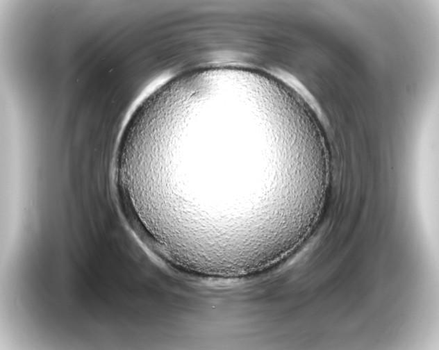 X0000084581285200703161734