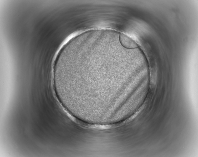 X0000084581286200703161734