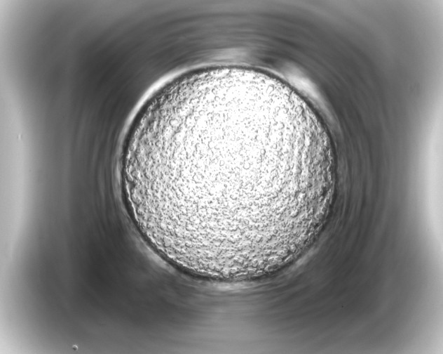 X0000084581288200703161734
