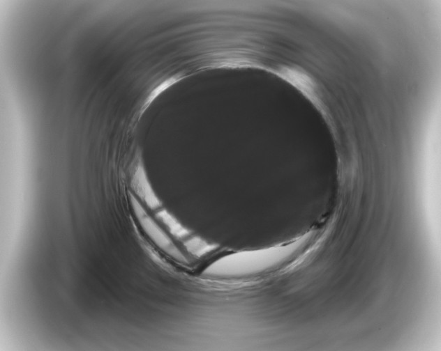 X0000084581289200703161734