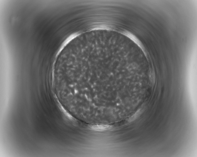 X0000084581290200703161734