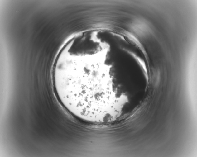 X0000084581291200703161734