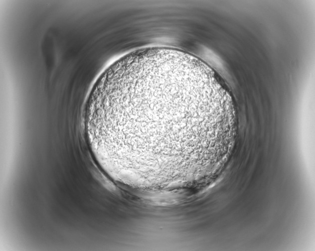X0000084581292200703161734