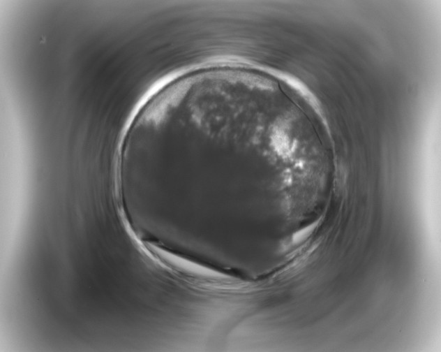 X0000084581295200703161734