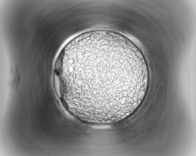 X0000084581296200703161734