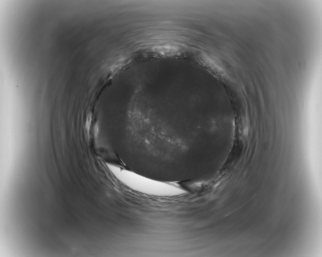X0000084581298200703161733