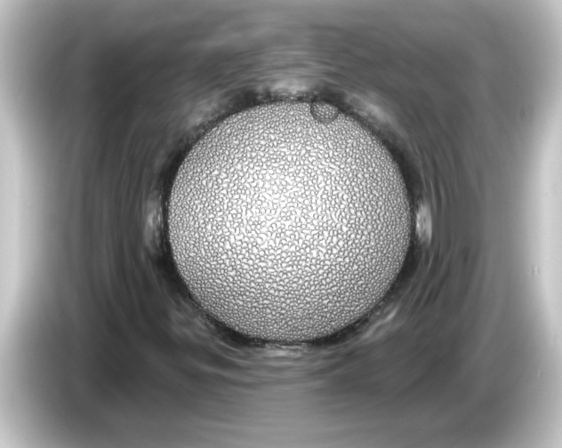 X0000084581299200703161733