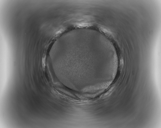 X0000084581300200703161733