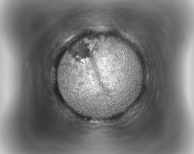 X0000084581301200703161733