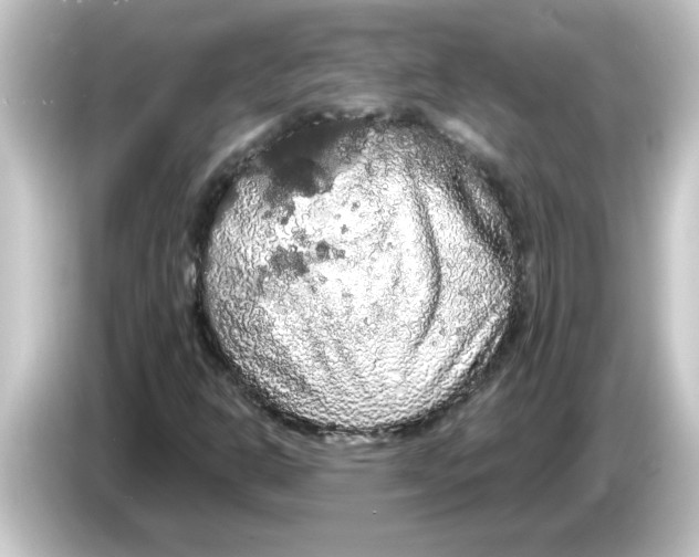 X0000084581302200703161733