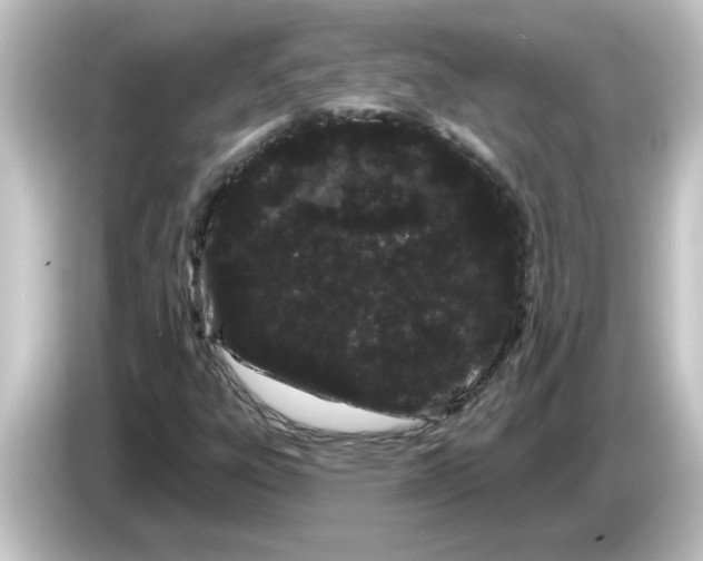 X0000084581303200703161733