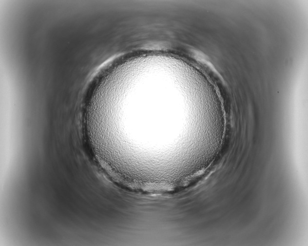 X0000084581304200703161733