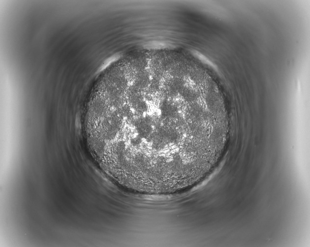 X0000084581305200703161733