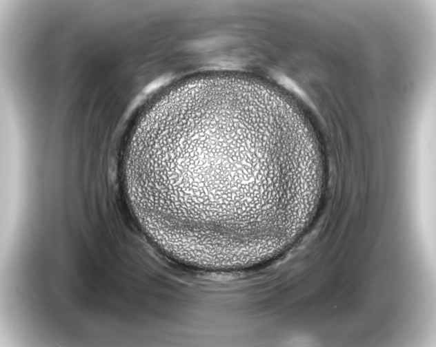 X0000084581307200703161733