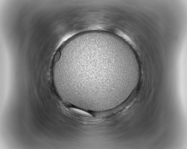 X0000084581308200703161733