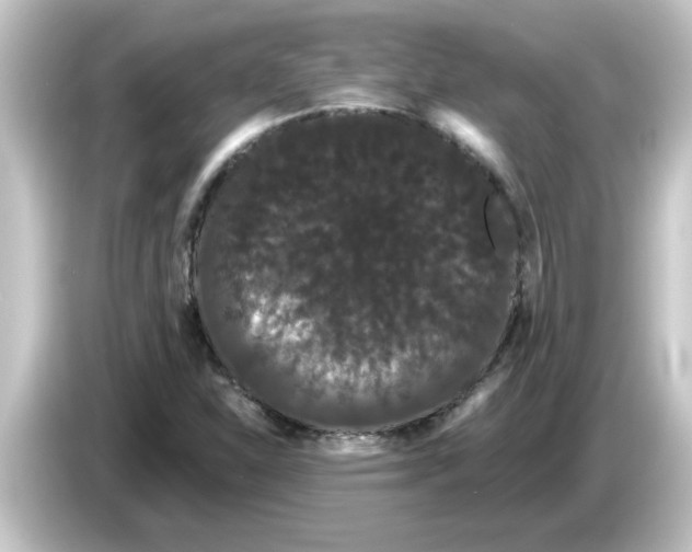 X0000084581310200703161733