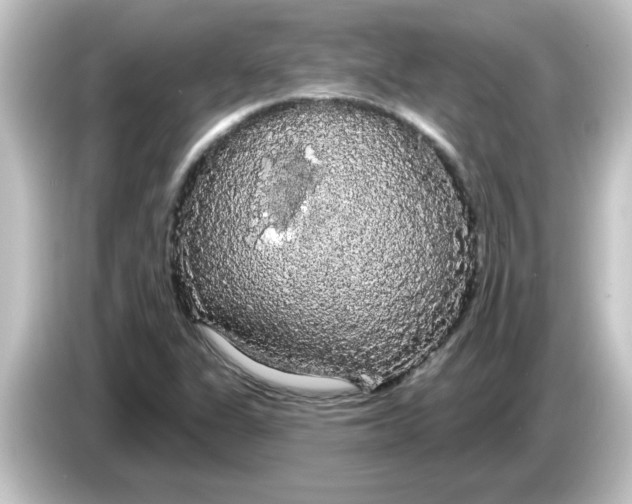 X0000084581311200703161733