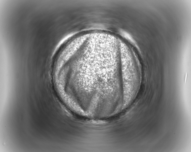X0000084581312200703161733