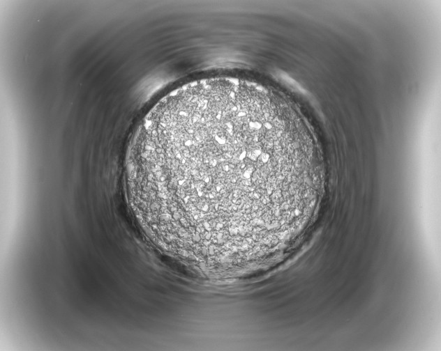 X0000084581313200703161733