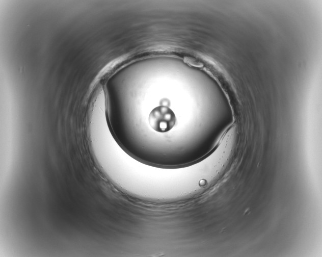X0000084581314200703161733